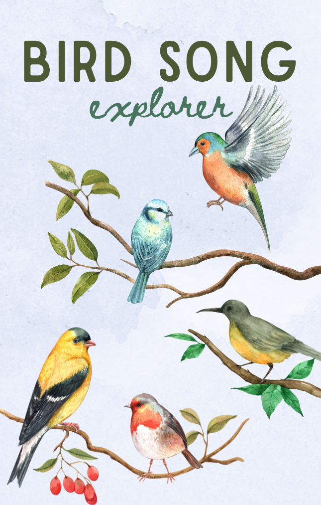 Bird Song Explorer Card